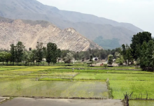 Gambar representatif /net