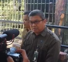 Sumber dari tangkap layar akun Instagram @pkucity