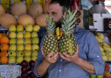 Gambar representatif /net