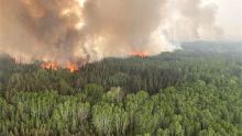 Kanada Darurat Kebakaran Hutan! 17.000 Orang Dievakuasi. 