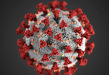 Gambar representatif Covid 19 /Reuters