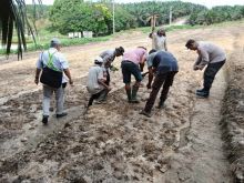 Polsek Tualang Dukung Asta Cita: Tanam Jagung 1 Hektar Demi Swasembada Pangan 2025