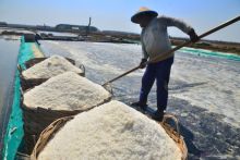 Petani garam. Sumber: Antara