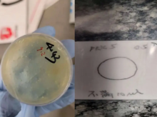 Warga negara Tiongkok lainnya ditangkap karena menyelundupkan bahan biologis ke AS /X