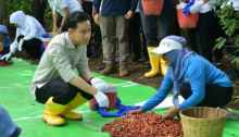 Wapres Dukung Peningkatan Produktivitas, Hilirisasi, dan Branding Kopi Indonesia