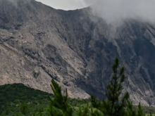 Gambar representatif /ANI