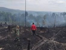 Kebakaran Hutan di Bukit Suligi Belum Terkendali, 60 Hektare Lahan Terbakar. (Tangkapan Layar)