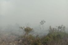 Kebakaran Lahan di Kampar Meluas, Pemadaman Terkendala Medan dan Kedalaman Gambut. (X/Foto)