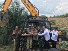 Satgas PKH Tebang 311 Hektare Sawit Ilegal Milik Anggota DPRD Riau di Taman Nasional Tesso Nilo.