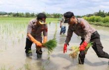 Peran polisi dalam swasembadapangan. Sumber: Internet