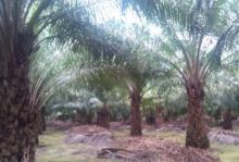 Terkait Ini, Polres Bengkalis Ajak FPPM Bukit Batu Agar Hearing Bersama DPRD