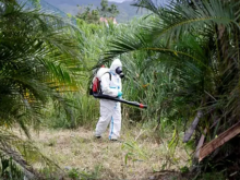Otoritas Tiongkok terapkan langkah-langkah karantina yang tepat /AFP