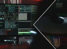 Gambar representatif /pexels