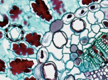 Gambar representatif /pexels