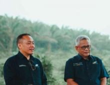 PalmCo Dorong Peremajaan Sawit dan Perkuat Kemitraan dengan Petani