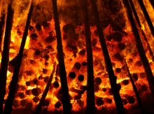 Gambar representatif /net