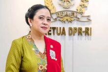 Ketua DPR RI Puan Maharani. Sumber: Internet