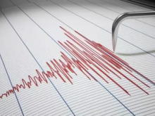 Gambar representatif /net