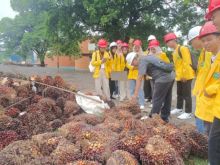 Mahasiswa Unilak Kagumi Inisiatif Energi Terbarukan Limbah Sawit PTPN IV Regional III