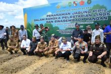 BRK Syariah dukung kegiatan penanaman pohon dan tanaman jagung 