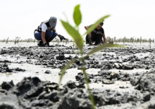 Gambar representatif /net