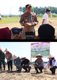Polres Siak Gelar Penanaman Jagung Serentak Kuartal IV, Dukung Swasembada Pangan Nasional 2025