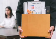 Gambar representatif /net