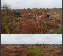 Satgas TMMD Kodim 0322/Siak Bersama Warga Bersihkan Lahan Pertanian: Wujud Nyata Kemanunggalan TNI dan Rakyat
