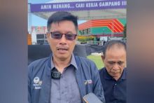 Ketua Dewan Pimpinan Wilayah (DPW) Partai NasDem Sumatra Utara (Sumut), Iskandar. Sumber: bisnis.com