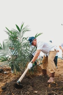 Perkuat Asta Cita, PTPN IV Regional III Remajakan 949,6 Ha Sawit Renta