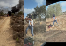 Pemukim Israel secara brutal menyerang petani dan jurnalis di ladang zaitun Turmus'ayya/ X-Jasper Nathaniel