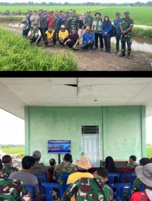 Kasad TNI Pantau Optimalisasi Lahan Secara Nasional, Kodim 0322/Siak Gelar Vidcon dan Tinjau Pengairan Pertanian di Sabak Auh