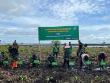 Kasdim 0303 Bengkalis Tanam 1.500 Bibit Mangrove
