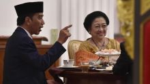 Presiden ke-7 Joko Widodo dan Ketum PDIP Megawati Soekarnoputri. Sumber: detik.com