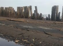 Pedangkalan Dikuala Sungai Desa Muntai Membuat Para Nelayan Sulit Keluar Masuk