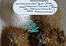 Inovasi utama dan kemungkinan masa depan/ Cell Reports Physical Science (2025), Wikimedia Commons