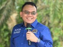 Wakil Ketua Umum DPP PAN, Saleh Partaonan Daulay. Sumber: detik.com