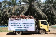 PTPN IV Regional III Catat Kinerja Positif Sepanjang 2025