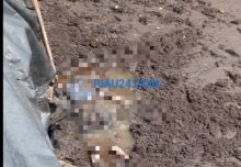 Hendak Melihat Jaring Pekap di Pinggir Laut Mesim Rupat, Wak Ambon Ditemukan Meninggal Dunia