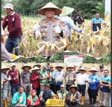 Dukung Asta Cita Presiden, Polres Siak Panen Raya Jagung Kuartal I 2026