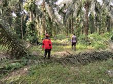 Langkah Preventif Karhutla, Polsek Kandis Sambangi Areal 1000 Dusun Gajah