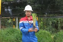 Menumbuhkan Kehidupan Kembali: Langkah PHR Memulihkan Fungsi Tanah di Bumi Riau.