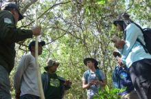 Kawasan Restorasi Mangrove Teluk Pambang Dikunjungi Tim ASEAN-UK GTF