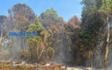 MS Warga Kecamatan Bukit Batu Ditetapkan Tersangka Akibat Karhutla