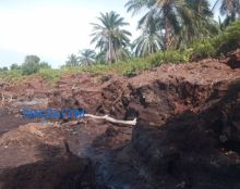 Akibat Gerusan Abrasi dan Tanah Amblas, Dua Desa di Pulau Bengkalis Semakin Mengecil